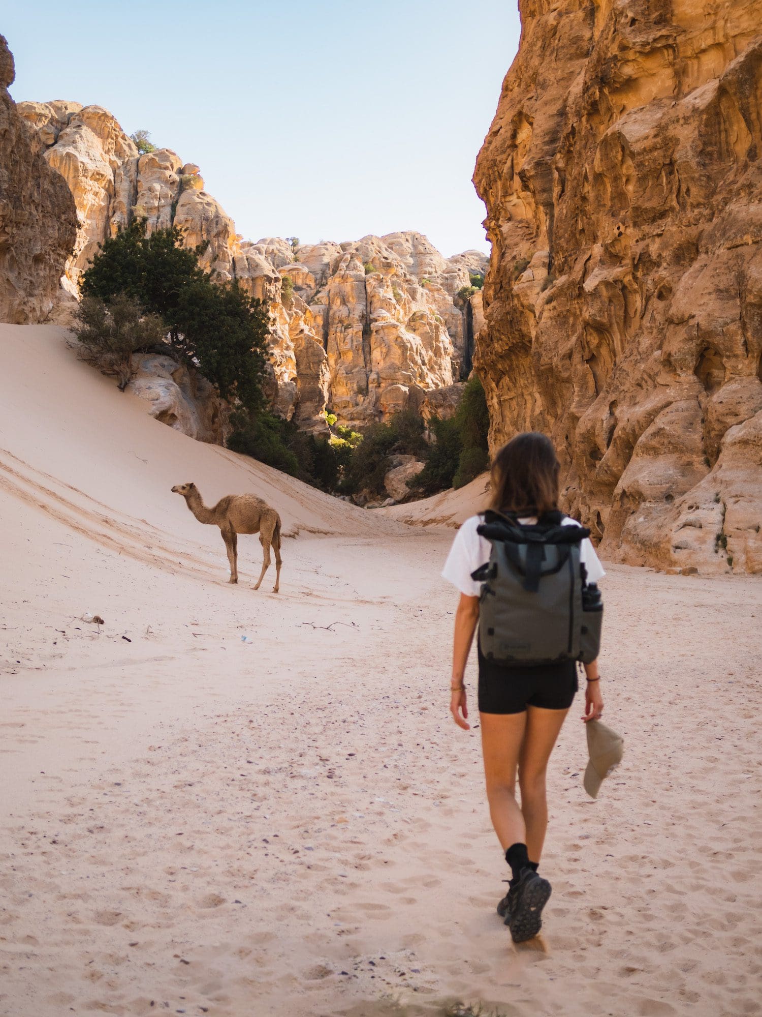 Wat is de beste reistijd voor Jordanië?