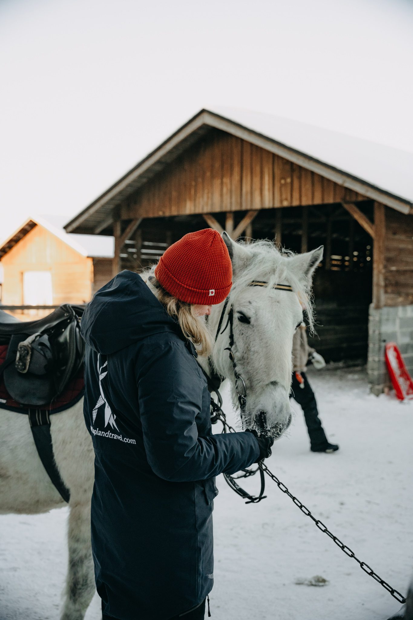 Van Lapland tot Ijsland: 4x Noordelijke winterreizen