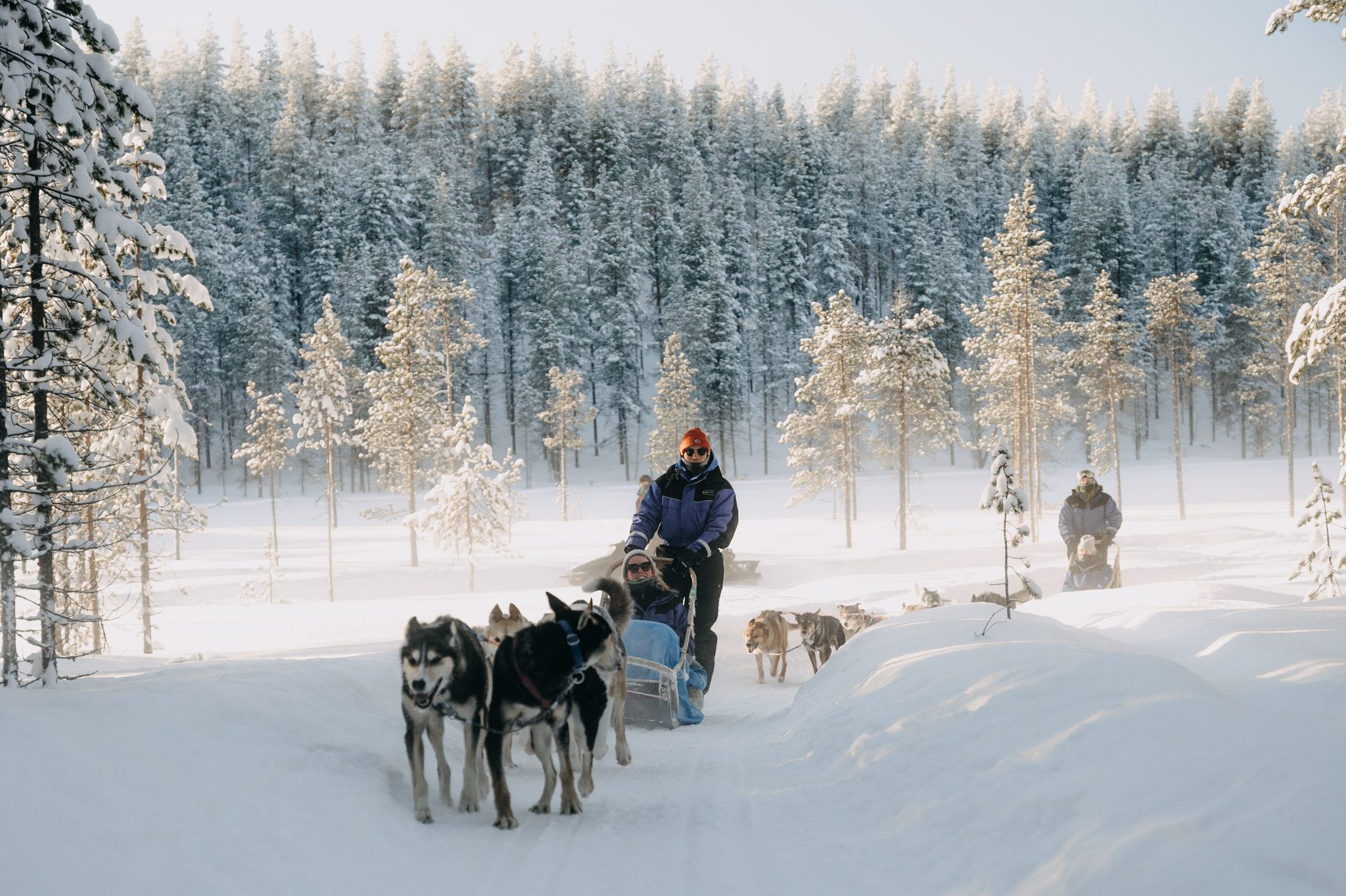 Van Lapland tot Ijsland: 4x Noordelijke winterreizen