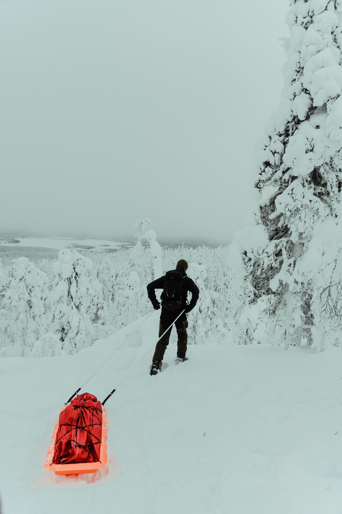 Van Lapland tot Ijsland: 4x Noordelijke winterreizen