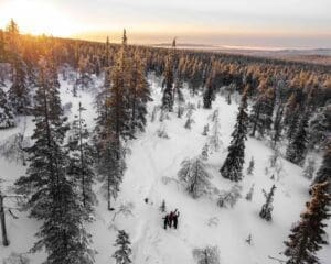 winter trips travelbase lapland travel