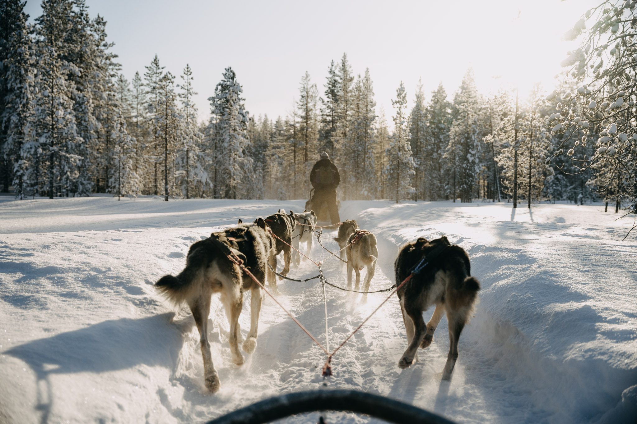 https://blog.staging.travelbase.eu-content/uploads/sites/2/2022/10/Lapland_EvyvanNispen_Akaslompolo_HR-183-980x653.jpg