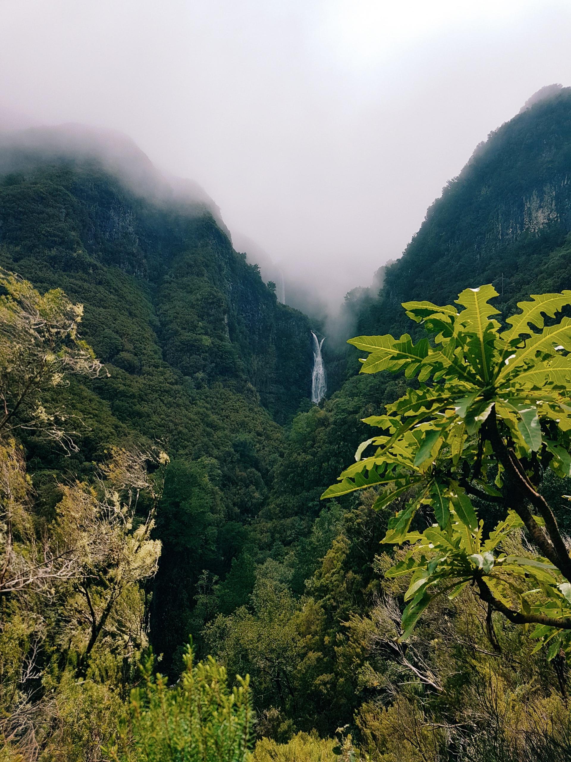 Hiken op Madeira: van west naar oost in 5 dagen