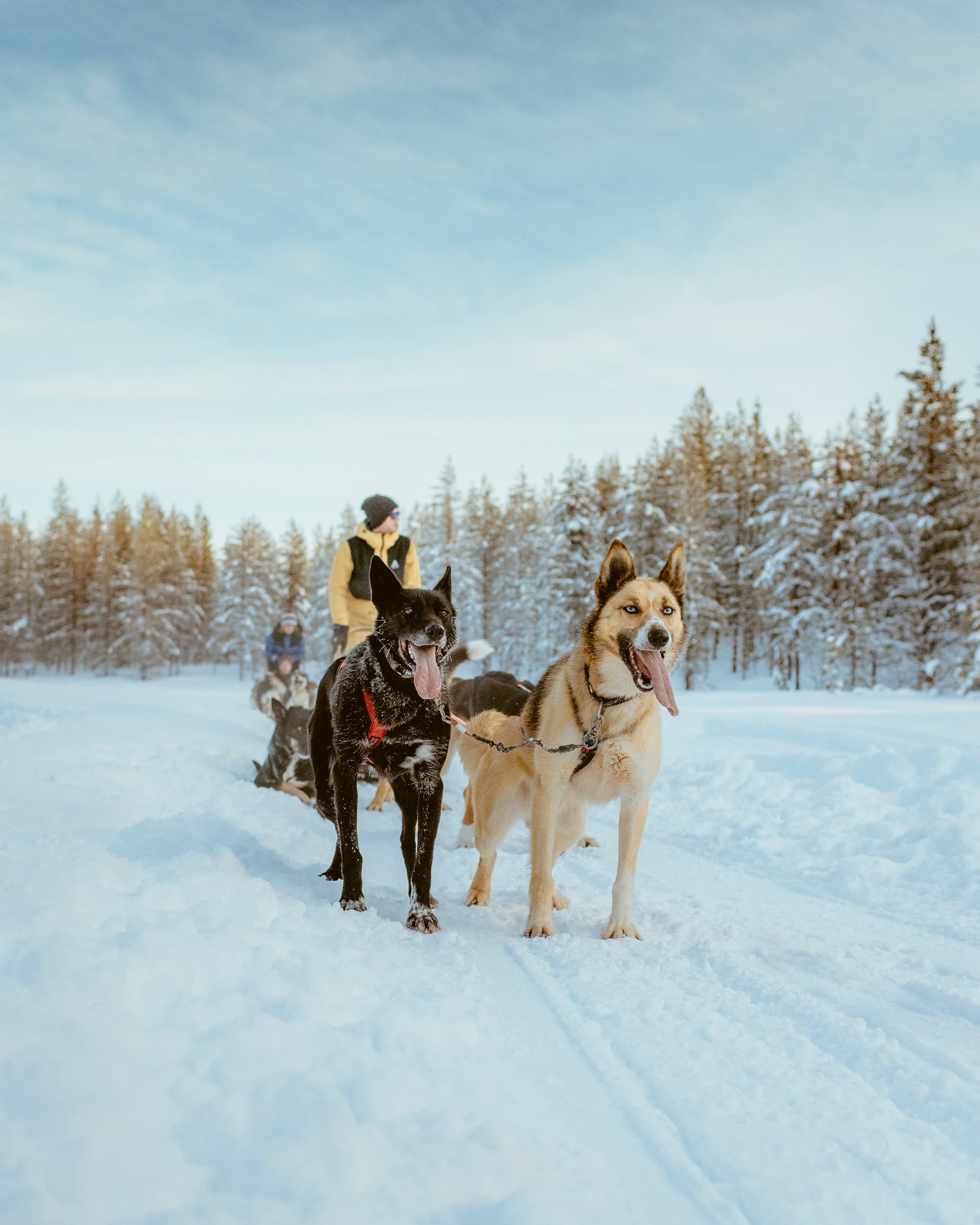 WeAdventures groepsreis Lapland