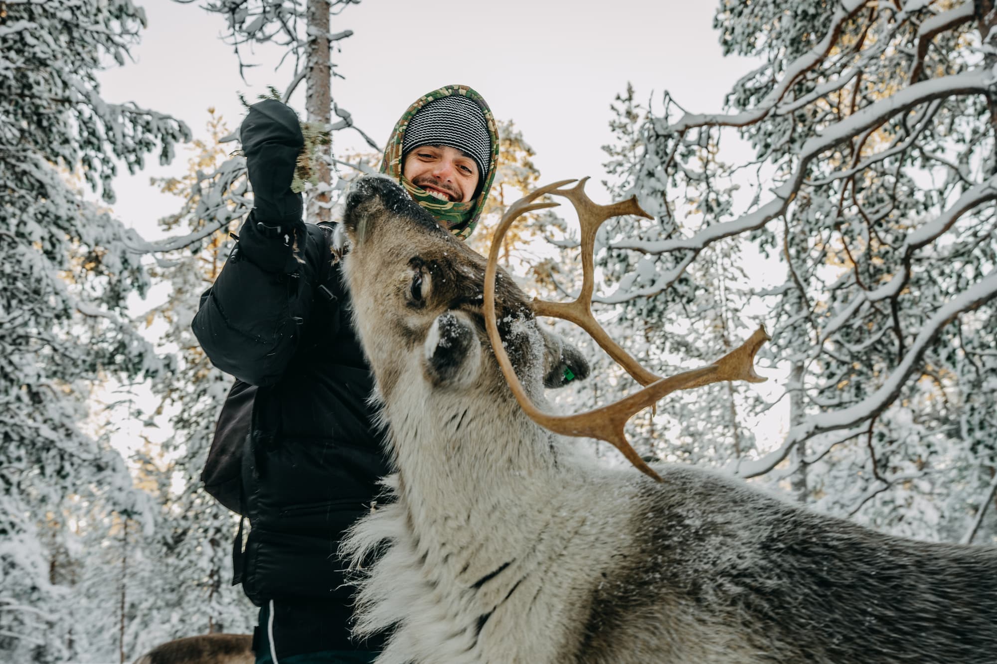 WeAdventures groepsreis Lapland