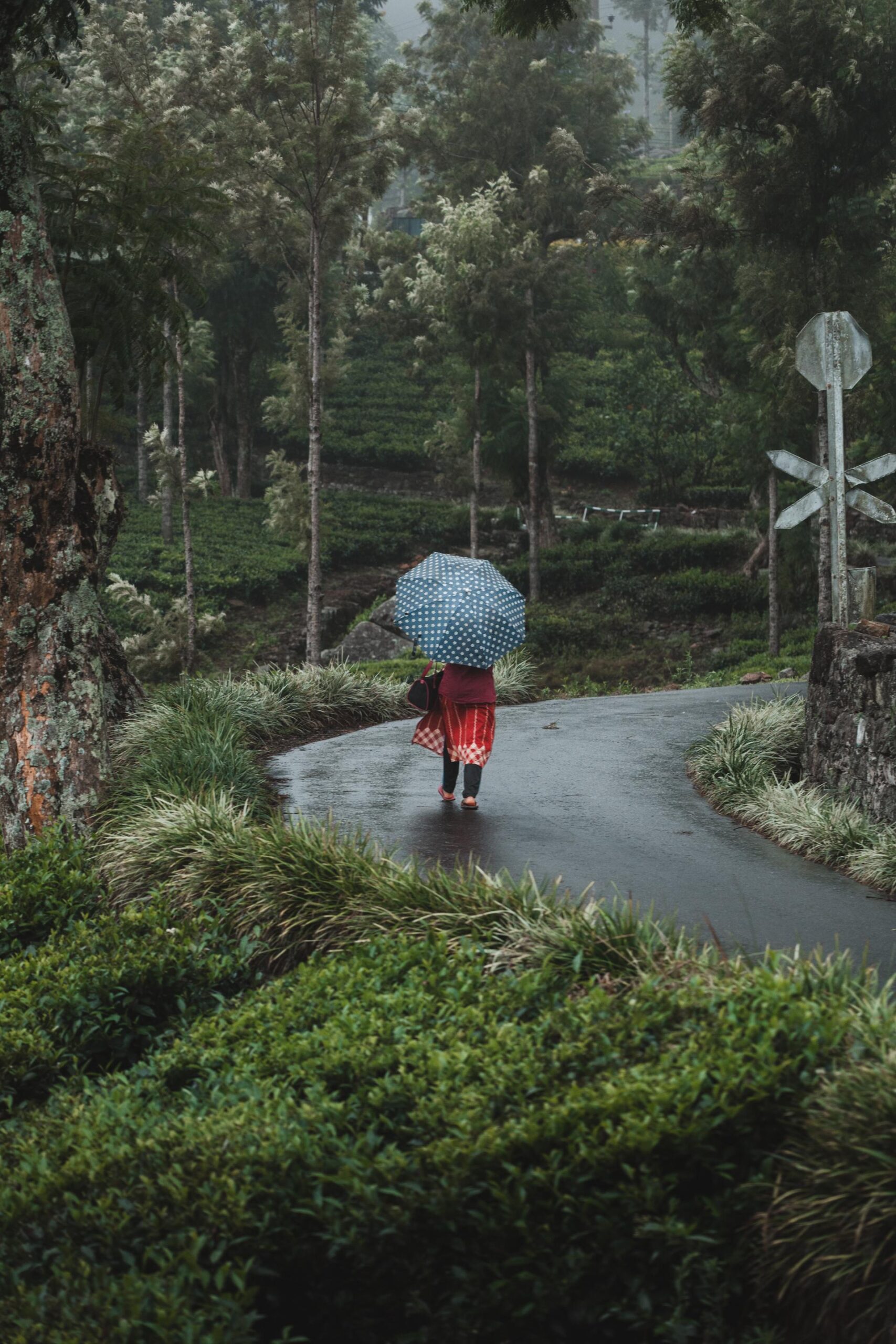 5 activiteiten die je niet mag overslaan in Ella, Sri Lanka