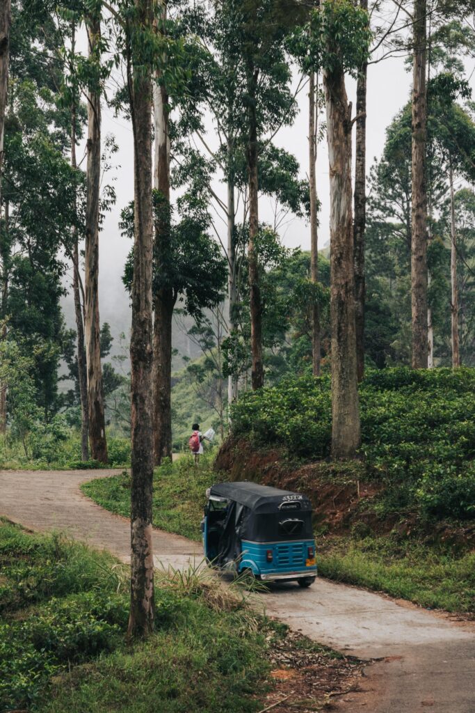 5 activiteiten die je niet mag overslaan in Ella, Sri Lanka