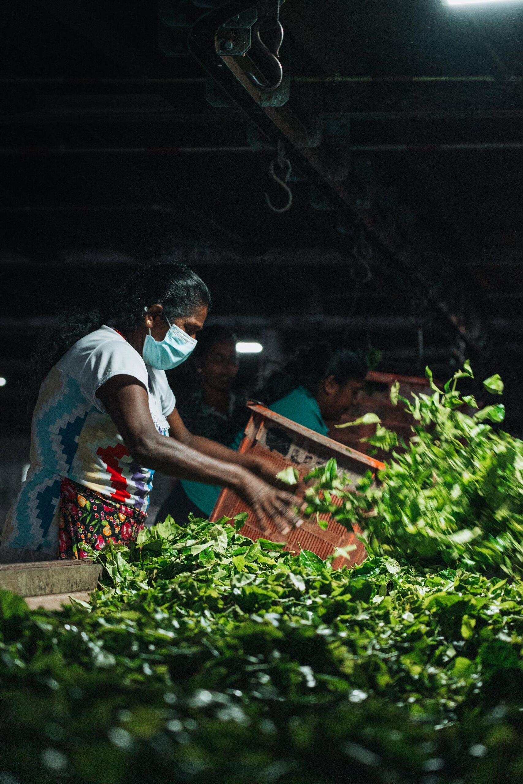 5 activiteiten die je niet mag overslaan in Ella, Sri Lanka