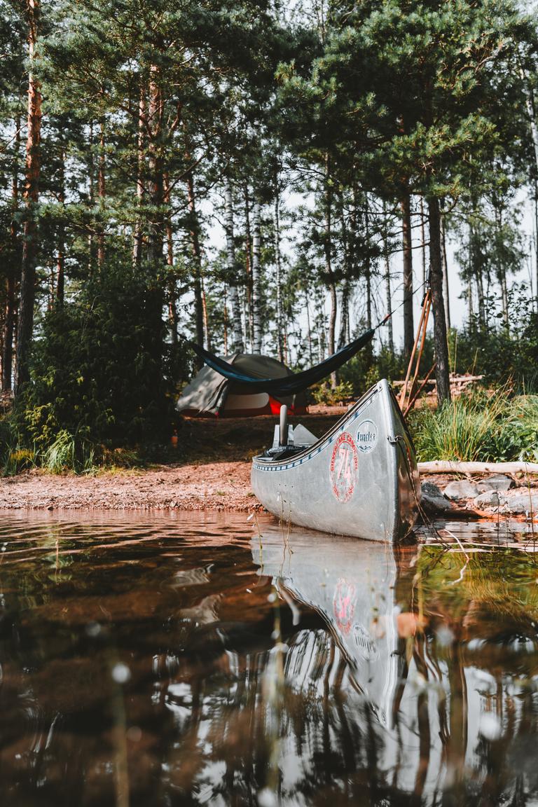 Wildlife in Zweden: tips voor de meest bijzondere ontmoetingen