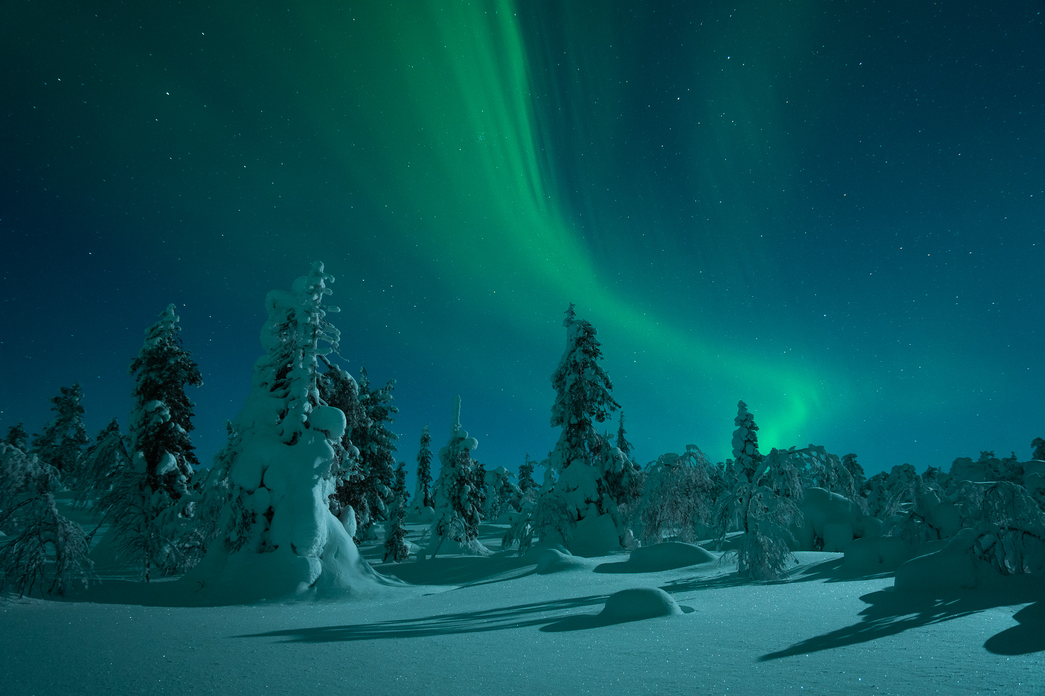 Noorderlicht Lapland