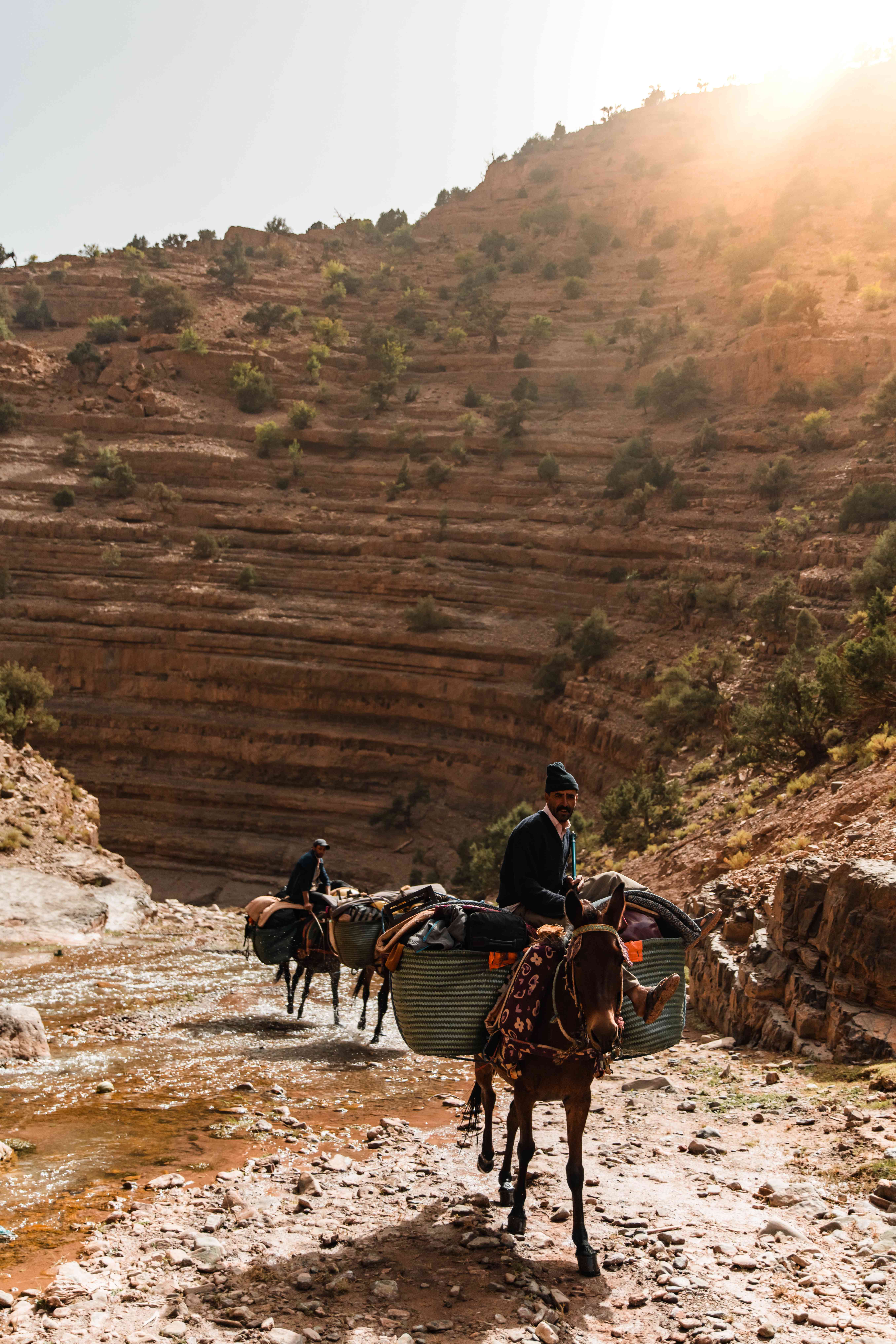 berbères ânes atlas maroc
