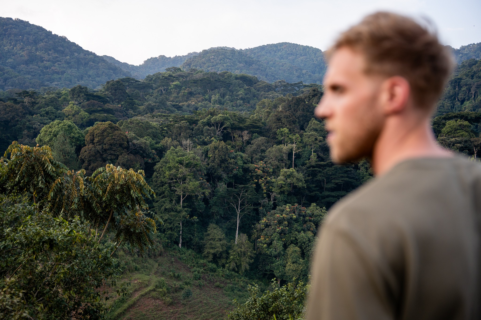 vue forêt impénétrable bwindi ouganda