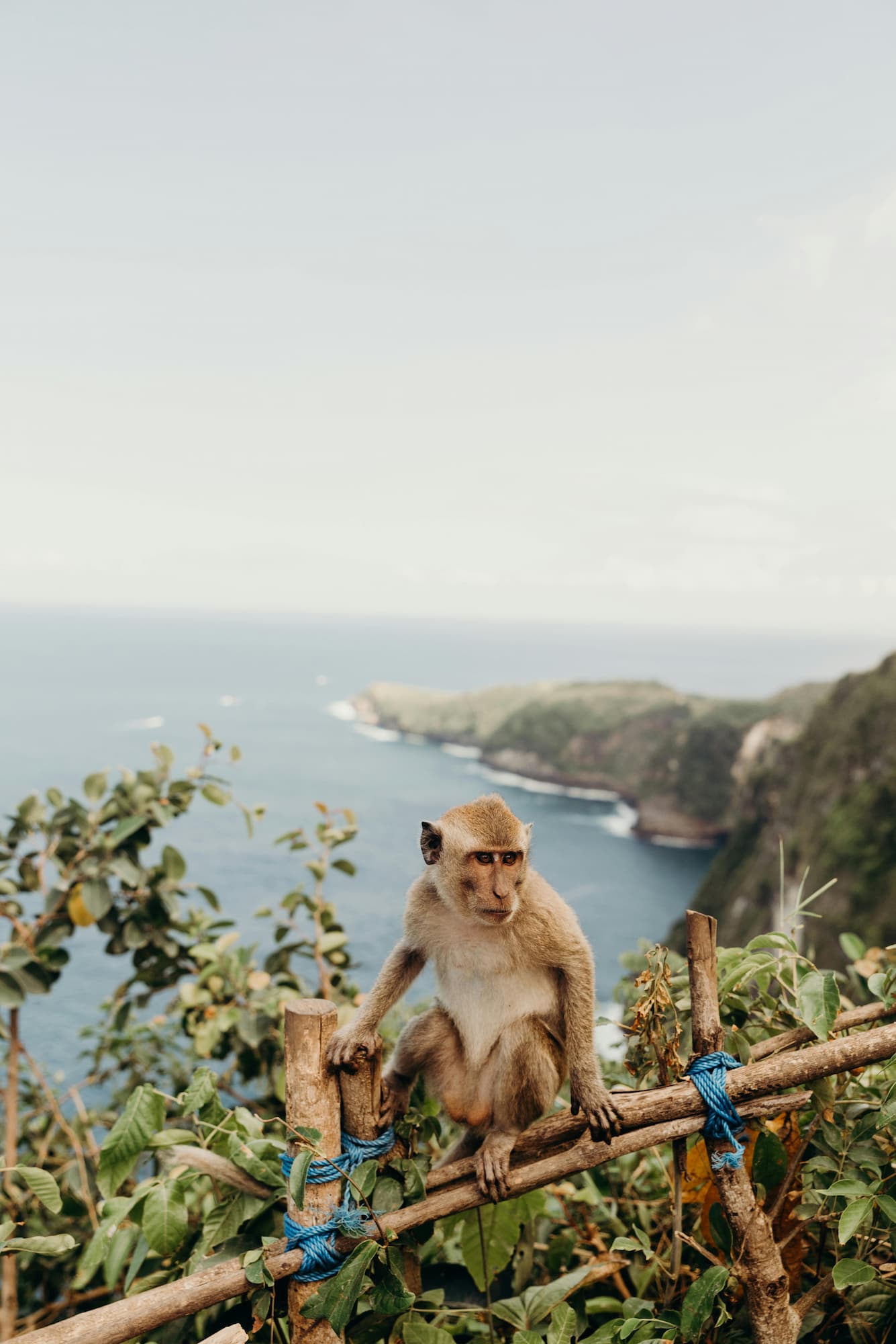 groepsreis Bali - rondreis bali