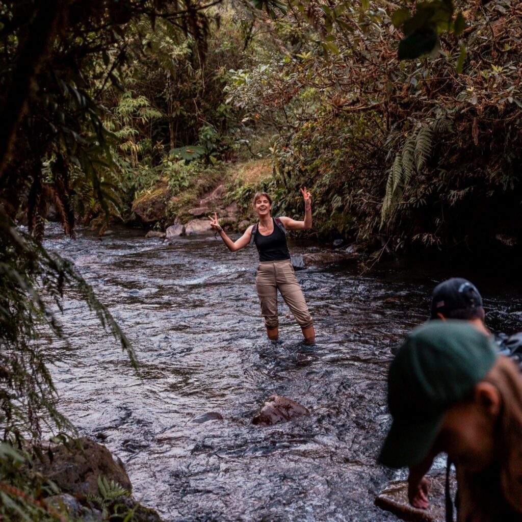 Roos weadventures
