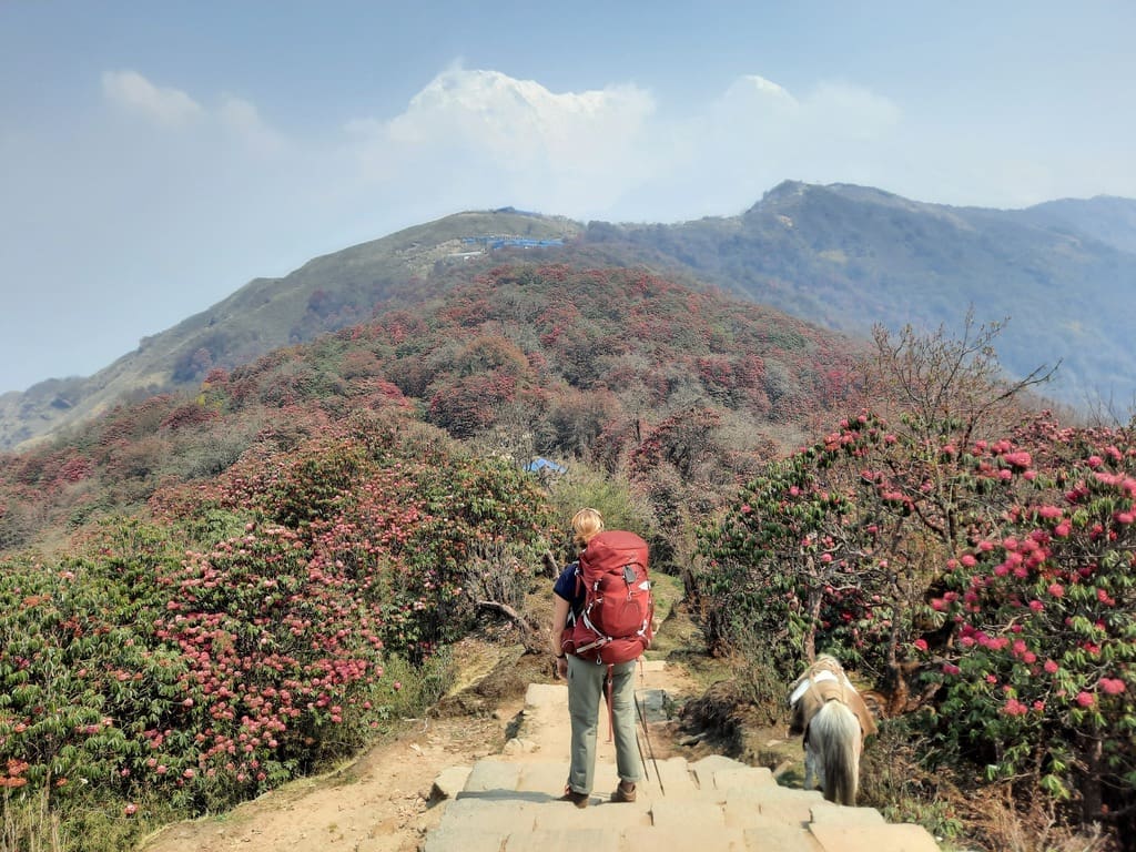 WeAdventures - Nepal