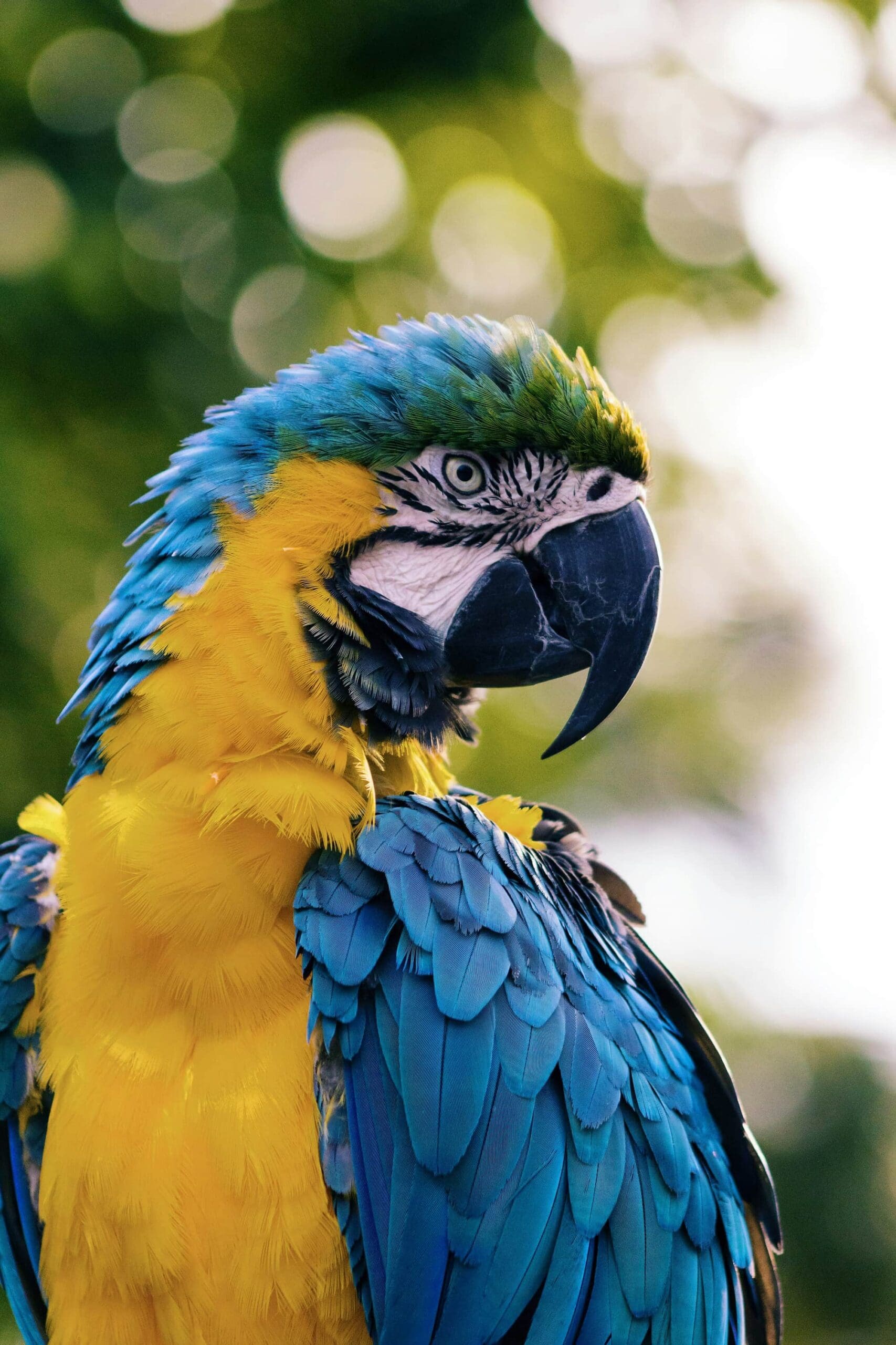 reizen brazilie - weadventures brazilie - travelbase brazilie - rondreis brazilie - groepsreis brazilie